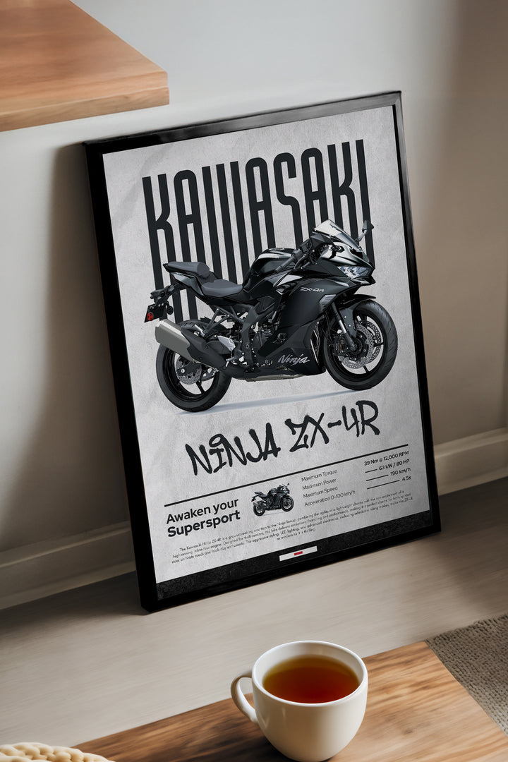 Kawasaki Ninja ZX-4R - tablo