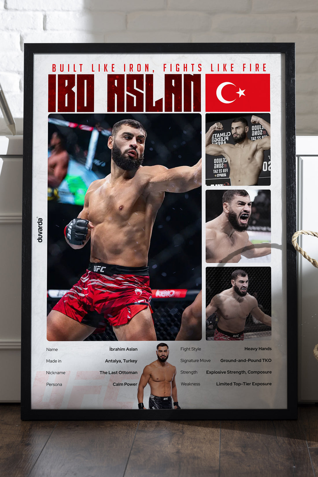 İbo Aslan UFC - tablo
