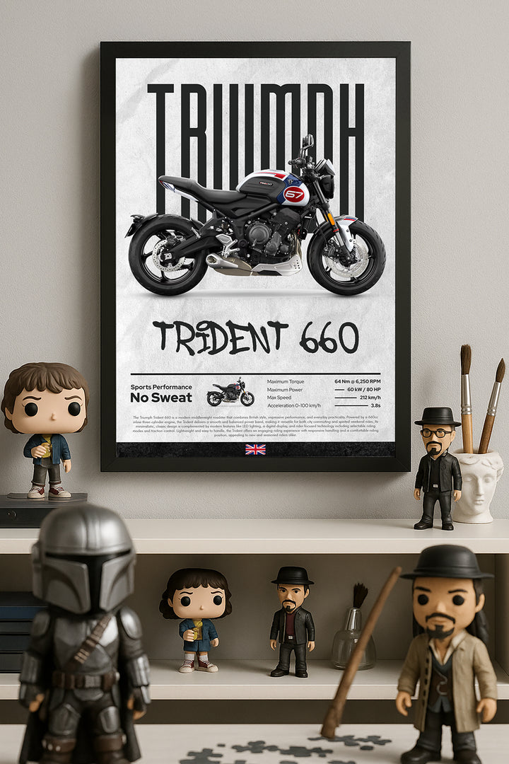 Triump Trident 660 - tablo