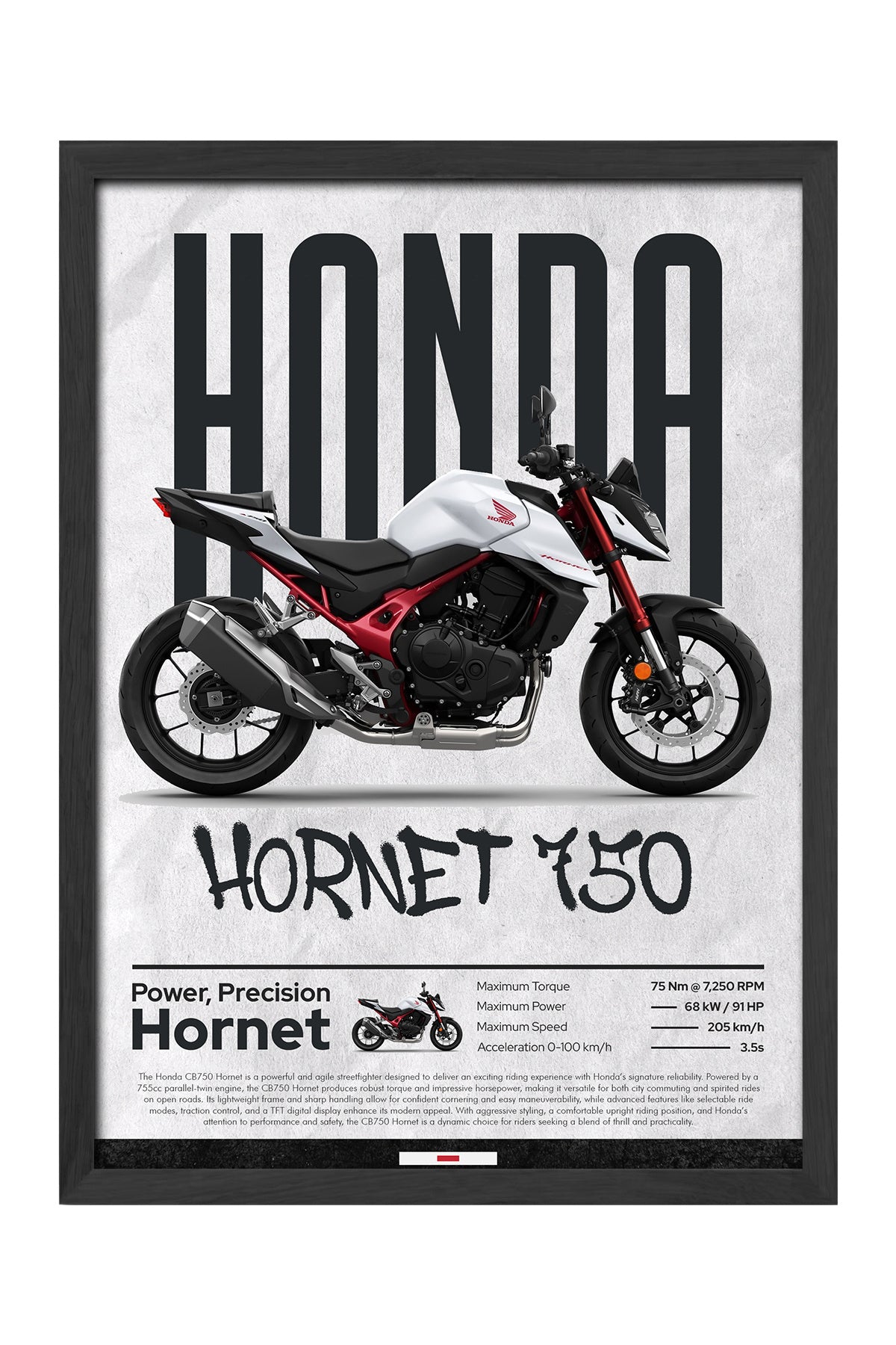 Hornet 750 - tablo