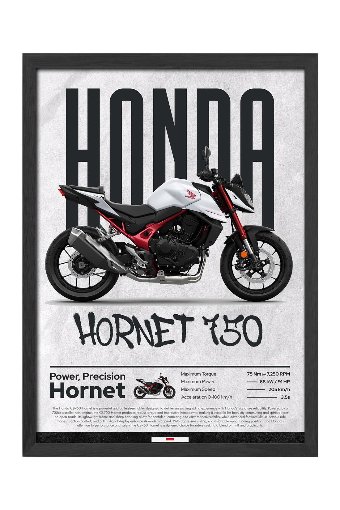 Hornet 750 - tablo