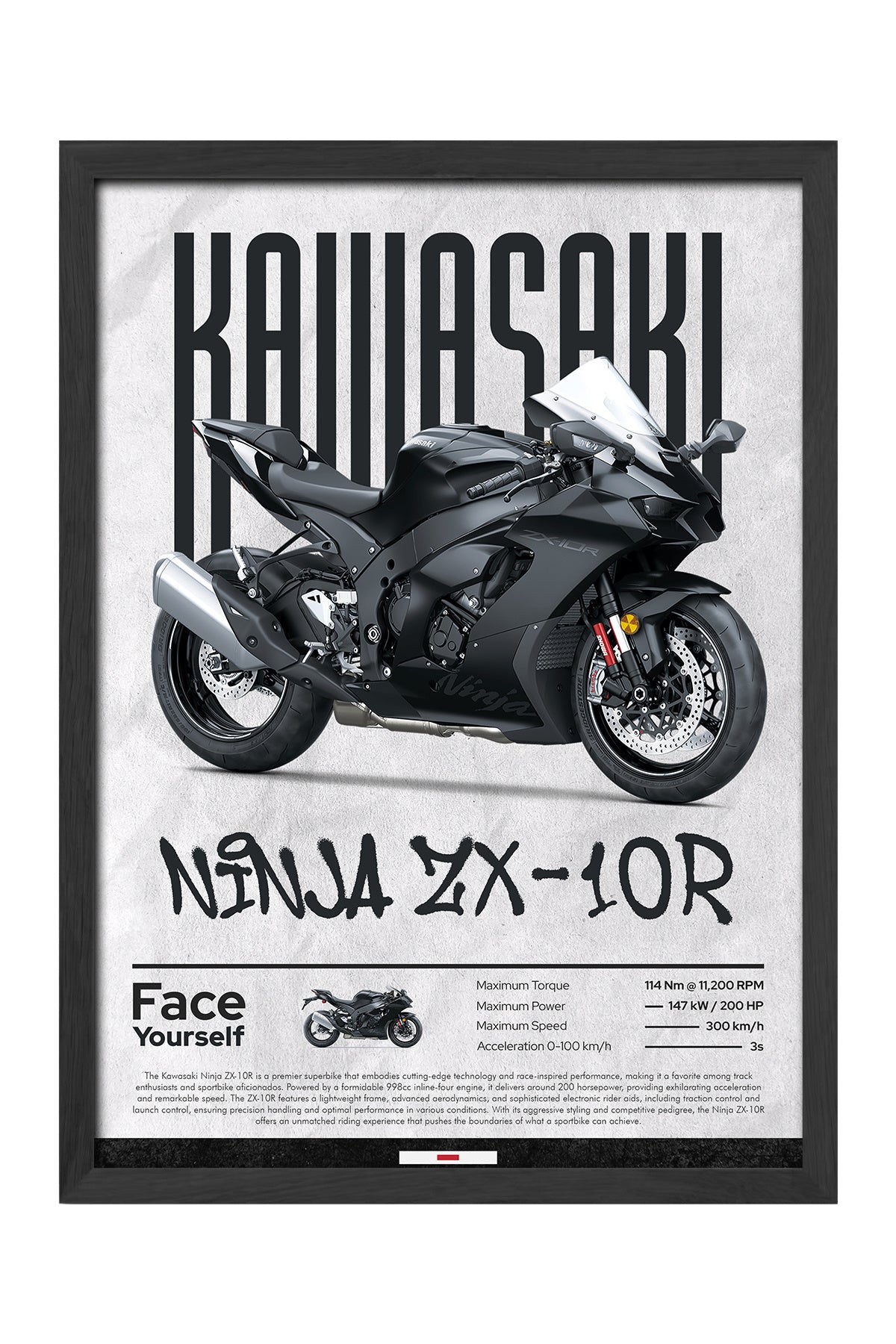 Kawasaki Ninja ZX-10 R - tablo