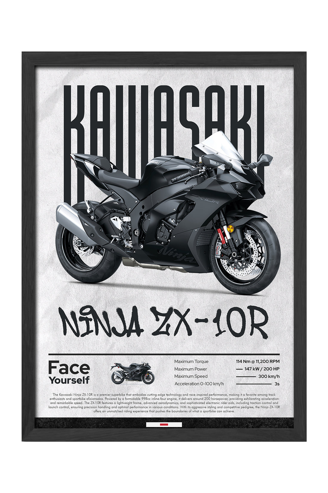 Kawasaki Ninja ZX-10 R - tablo