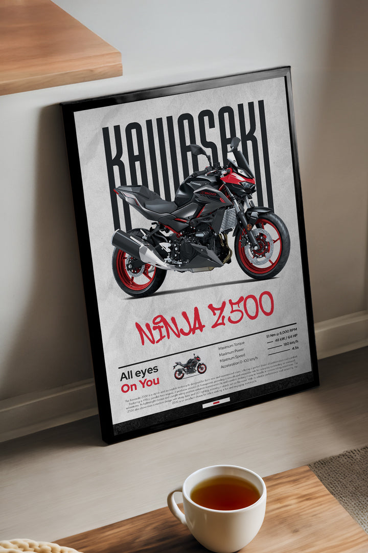 Kawasaki Ninja Z500 - tablo
