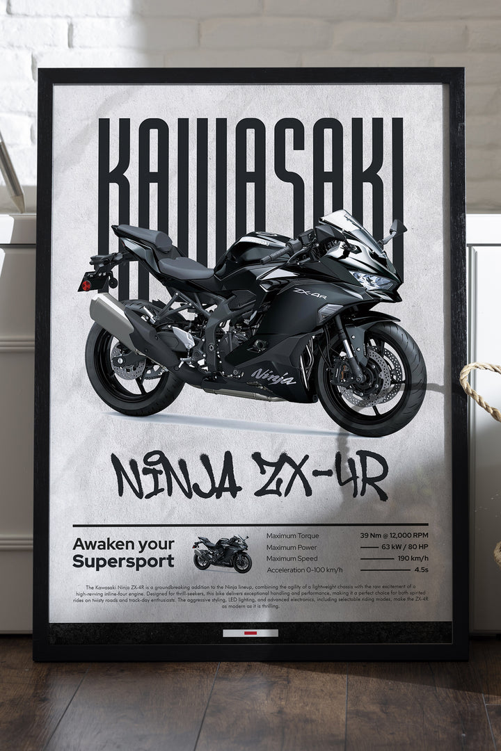 Kawasaki Ninja ZX-4R - tablo