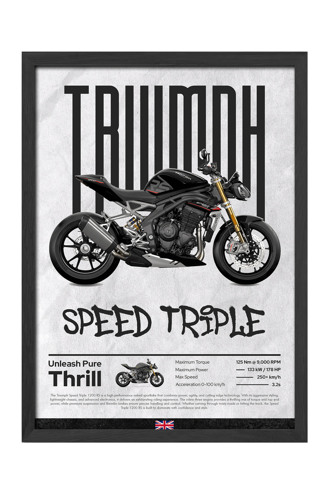 Triump Speed Triple - tablo
