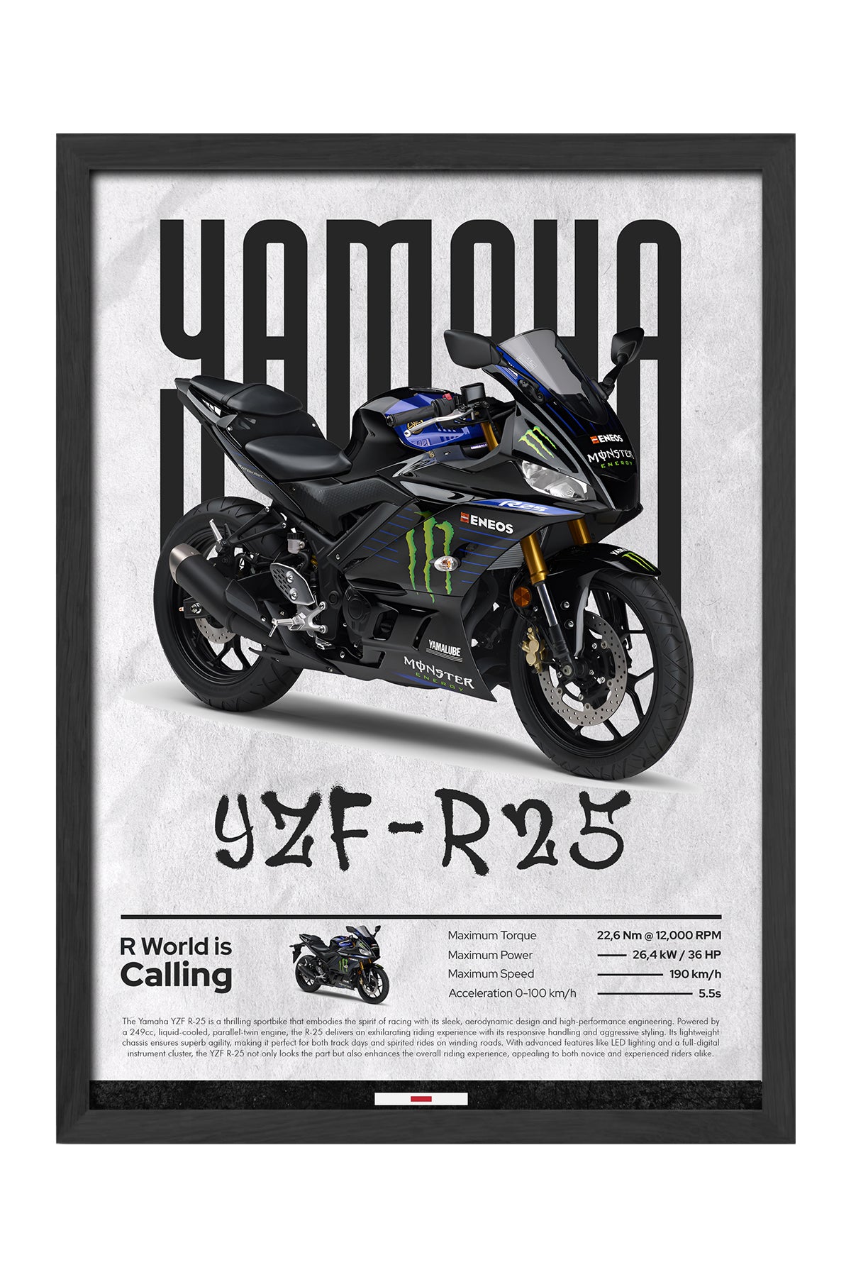 Yamaha YZF-R25 Monster - tablo