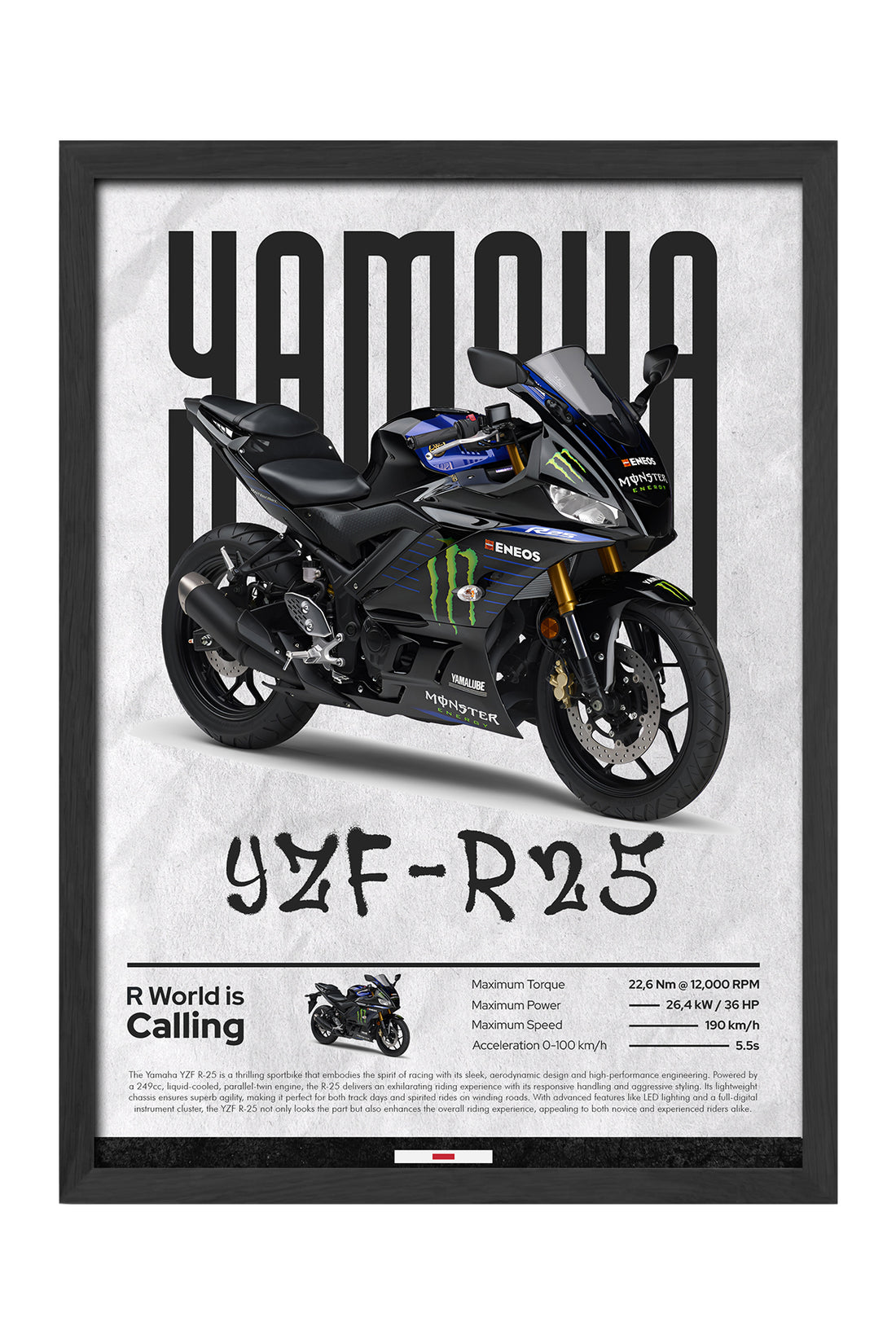 Yamaha YZF-R25 Monster - tablo
