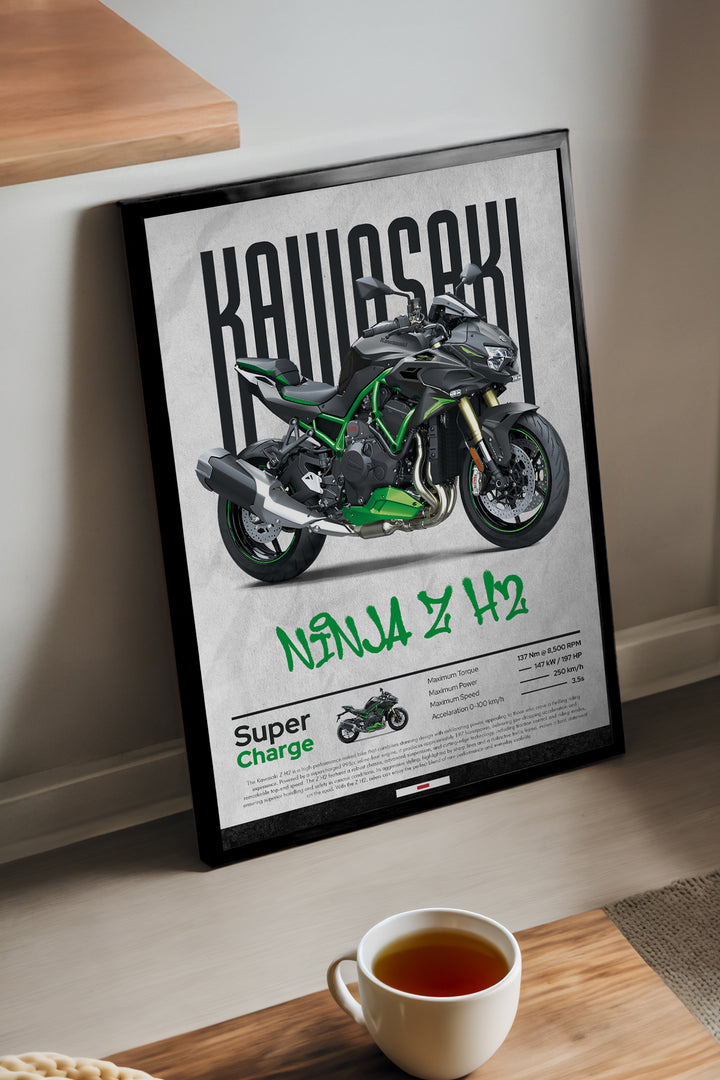 Kawasaki Ninja Z H2 - tablo