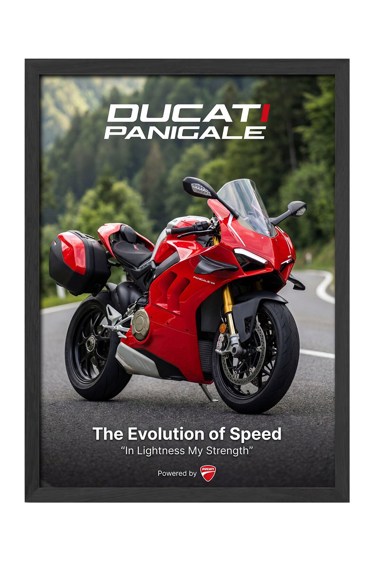 Ducati Panigale - tablo