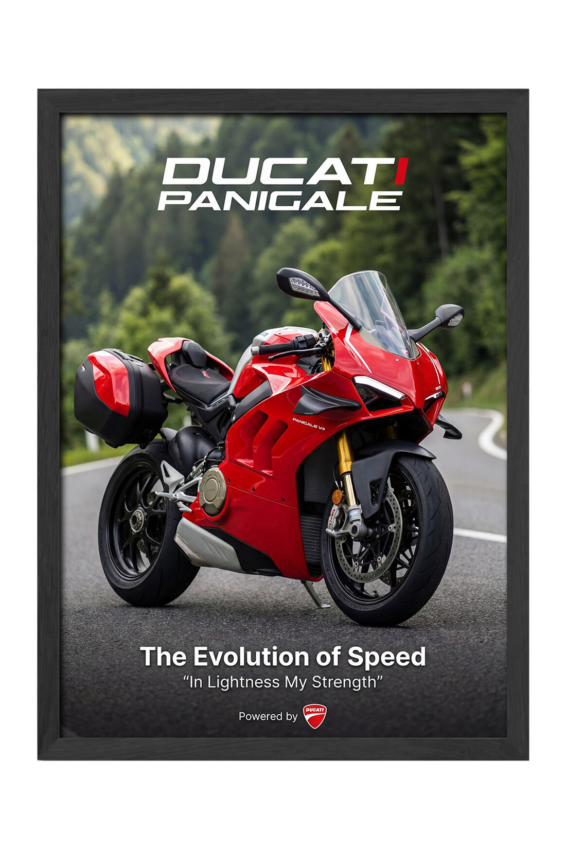 Ducati Panigale - tablo