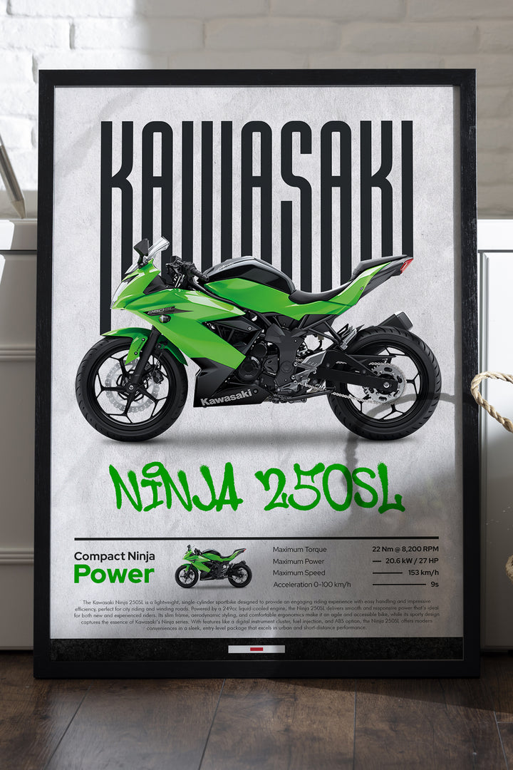 Kawasaki Ninja 250 SL - tablo