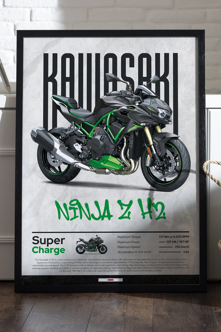 Kawasaki Ninja Z H2 - tablo