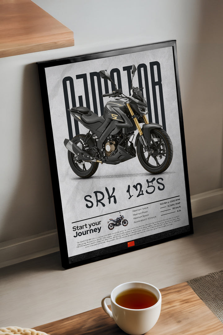 QJ Motor SRK 125S - tablo