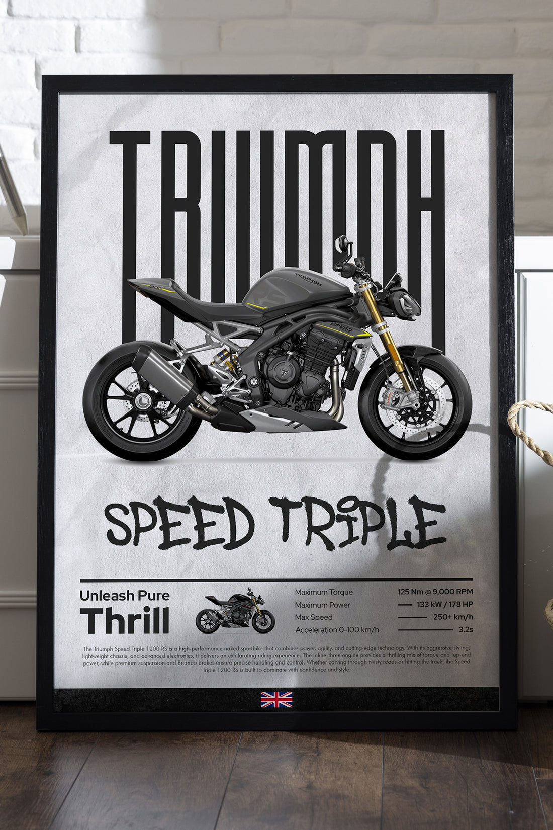Triump Speed Triple - tablo