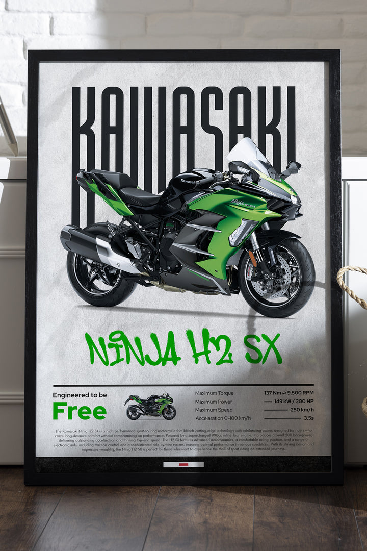 Kawasaki Ninja H2 SX - tablo