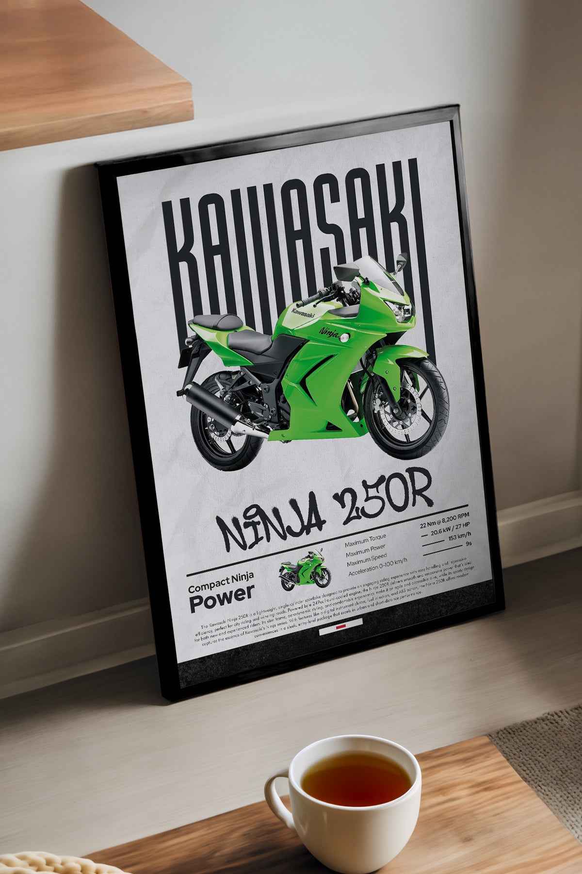 Kawasaki Ninja 250 R - tablo