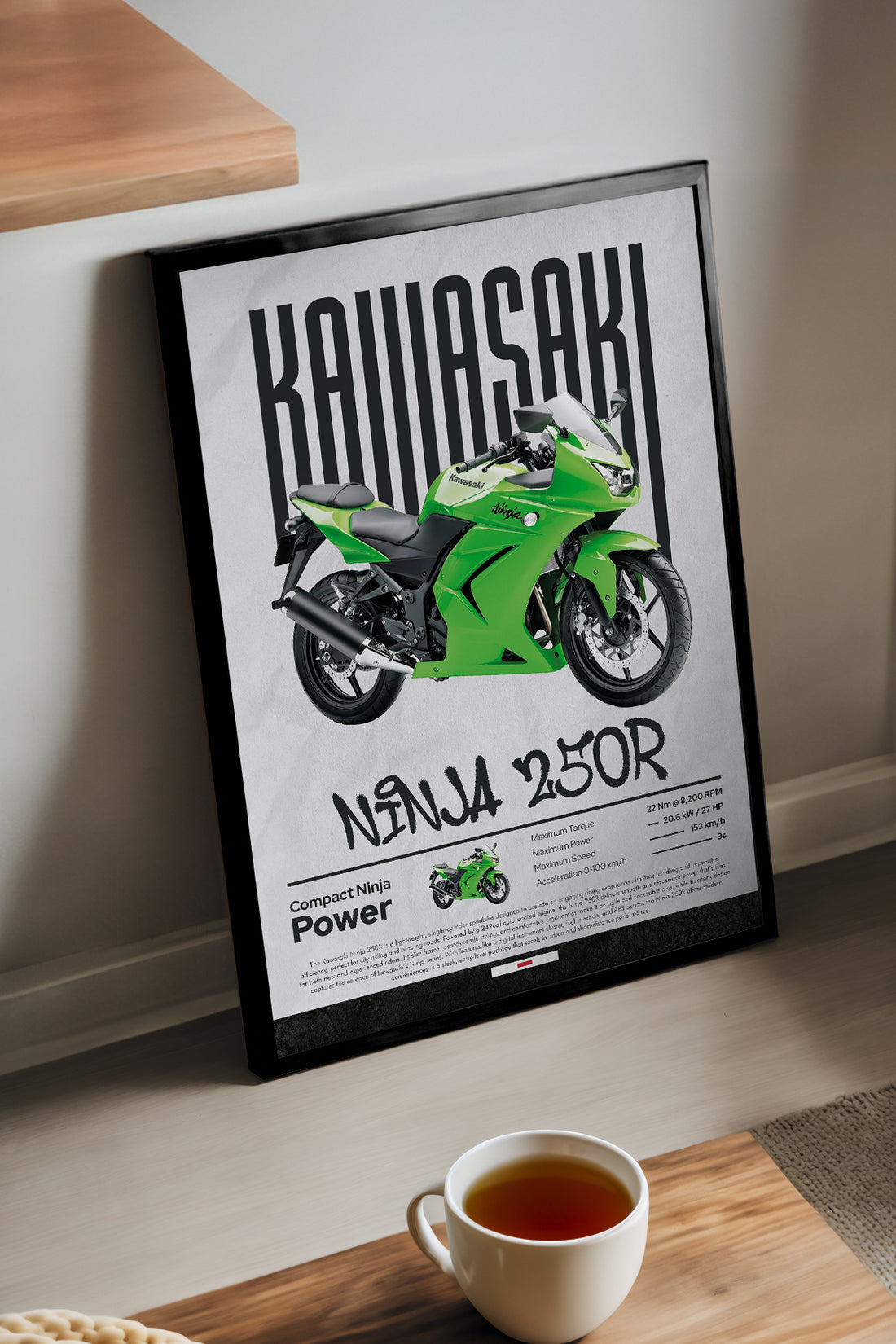 Kawasaki Ninja 250 R - tablo