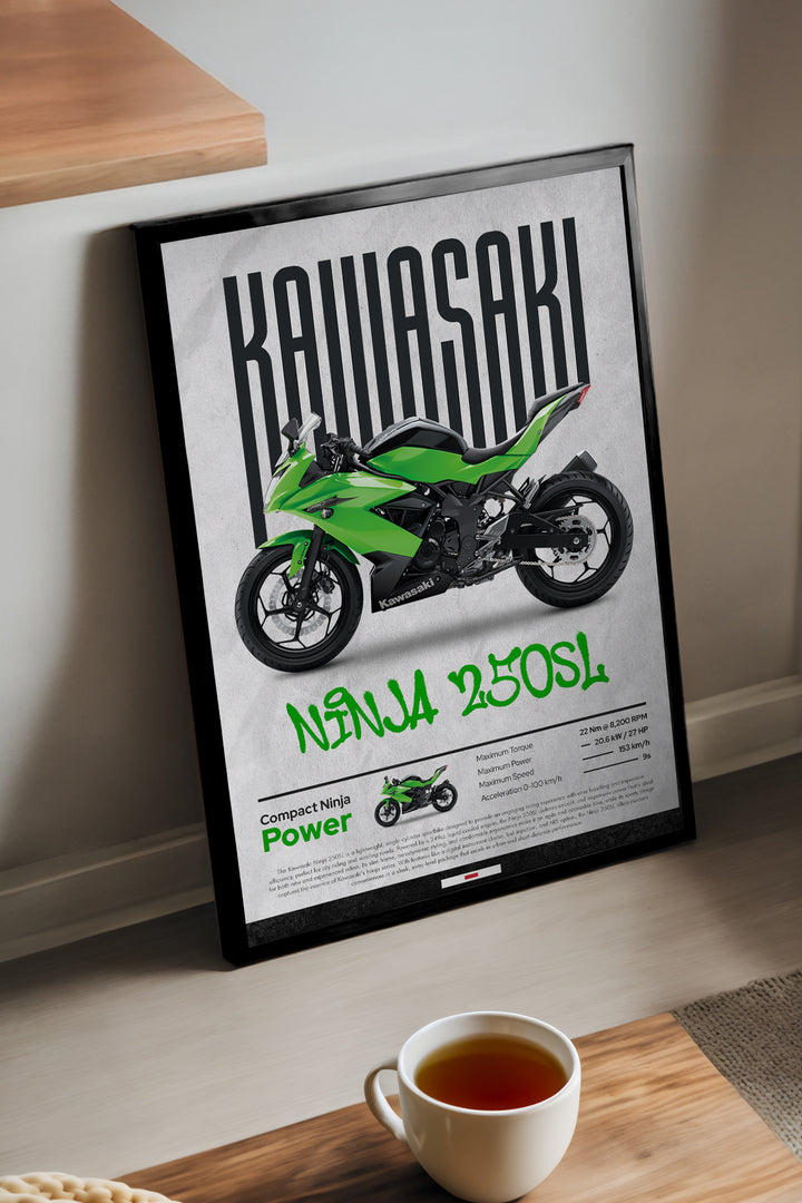 Kawasaki Ninja 250 SL - tablo