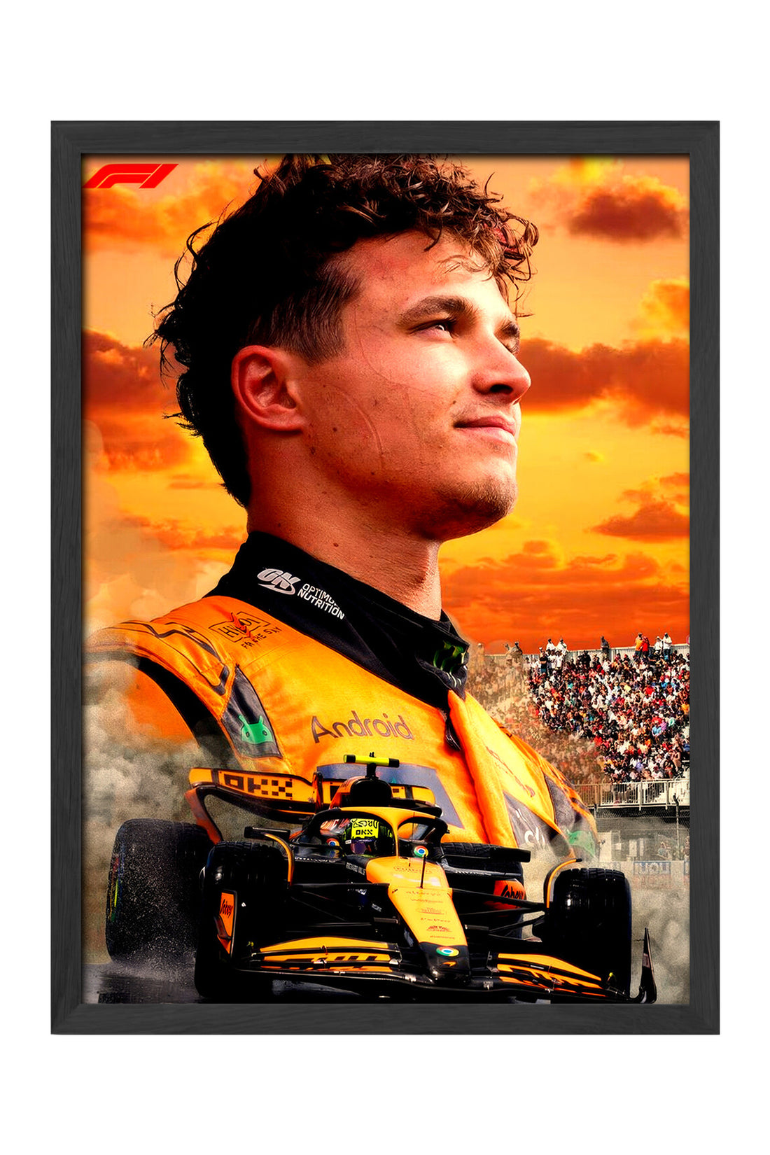 Lando Norris - tablo
