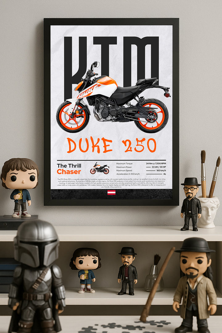 KTM Duke 250 - tablo