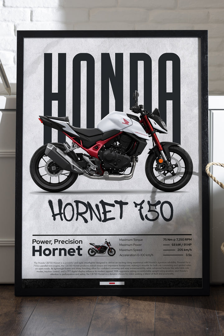 Hornet 750 - tablo