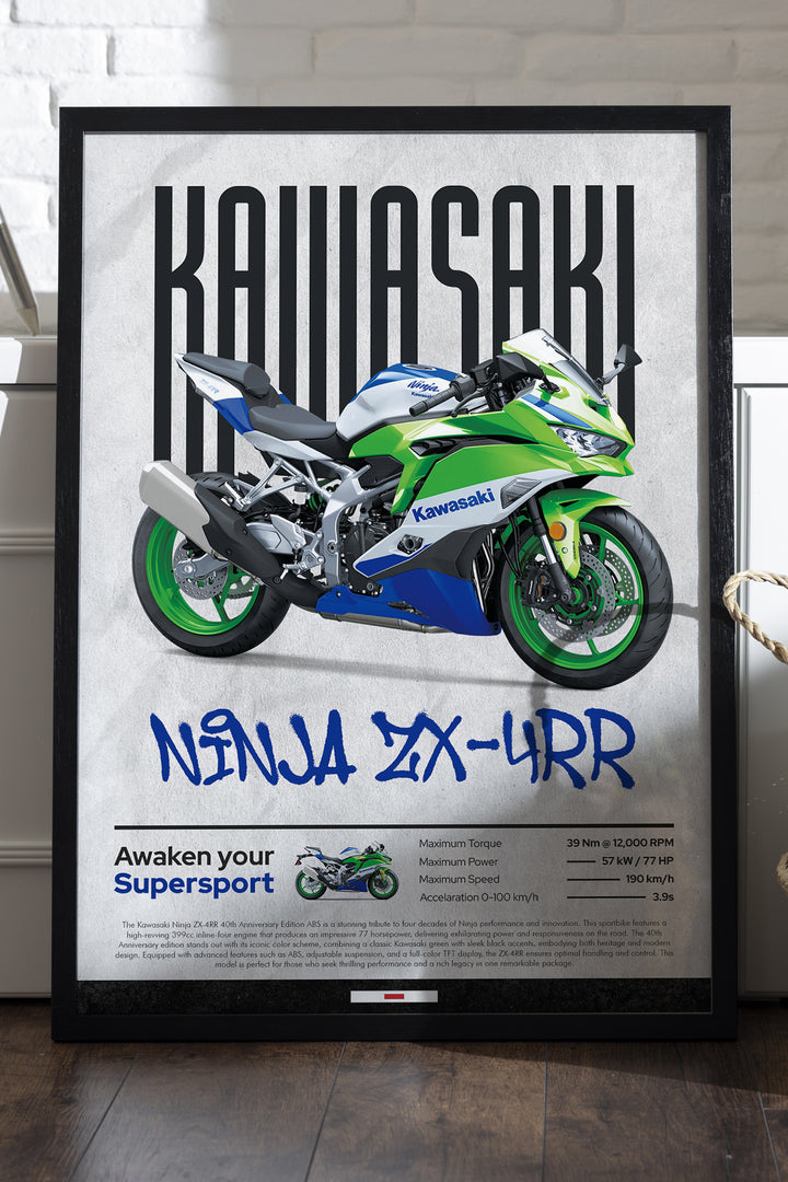 Kawasaki Ninja ZX-4 RR - tablo