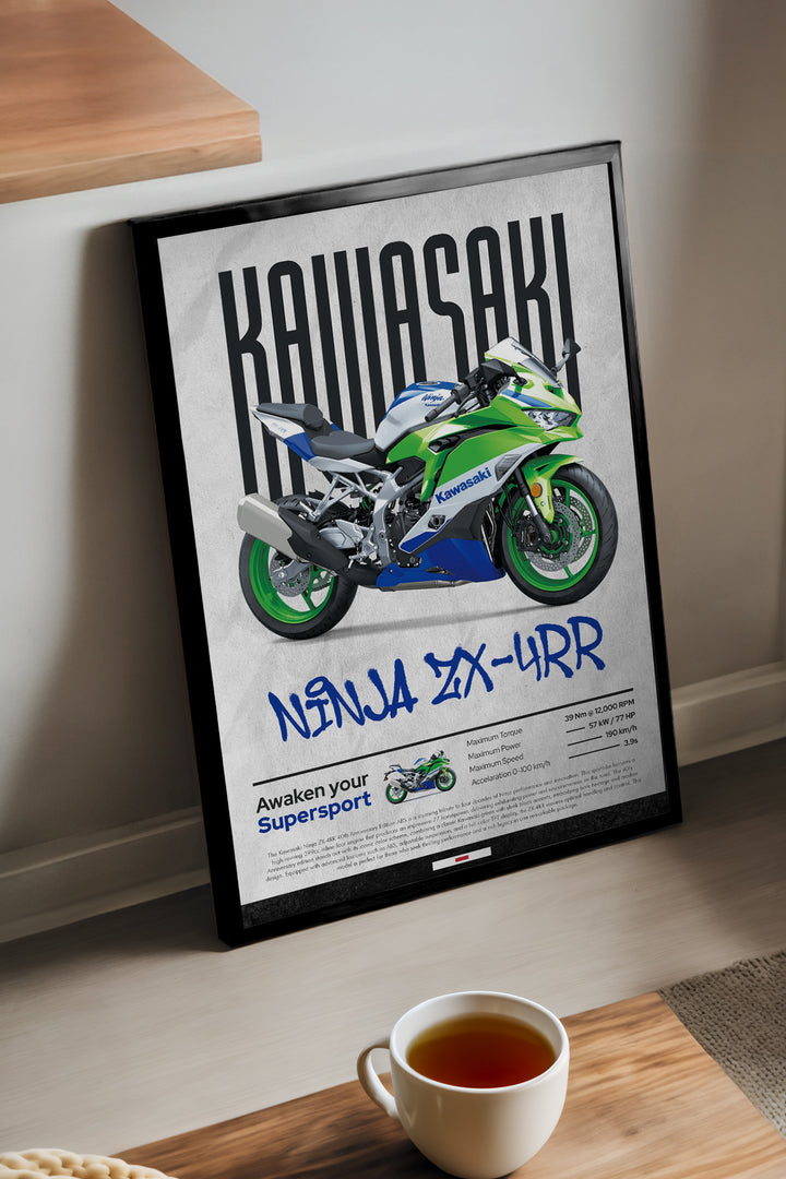 Kawasaki Ninja ZX-4 RR - tablo
