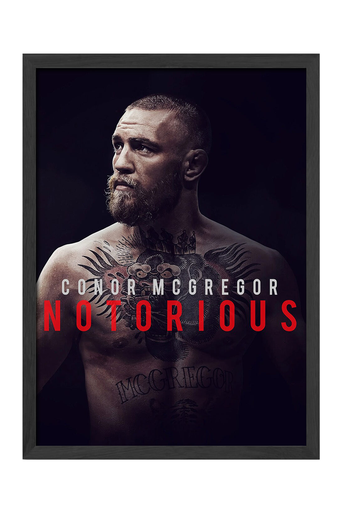 Conor McGregor UFC - tablo