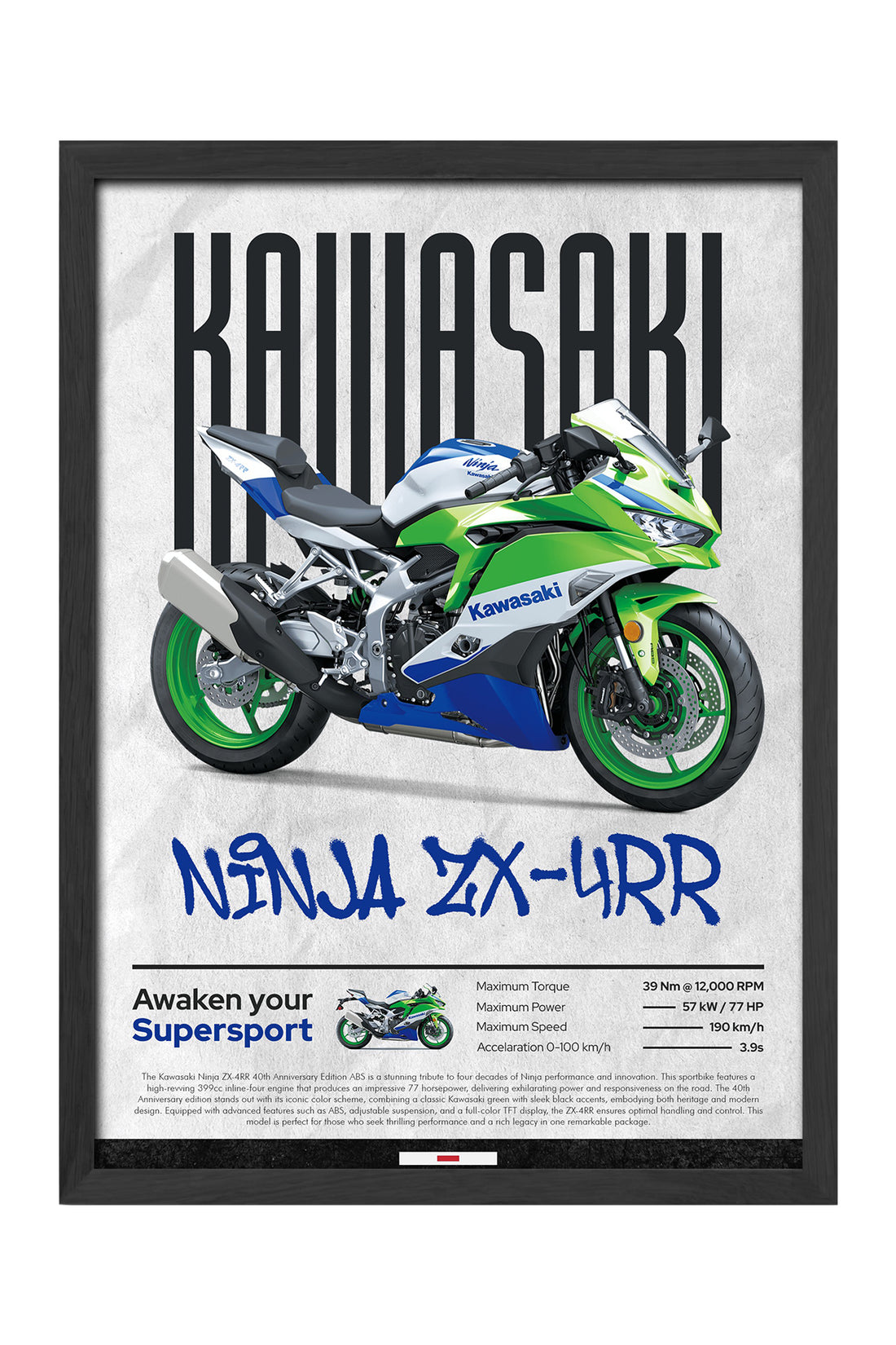 Kawasaki Ninja ZX-4 RR - tablo