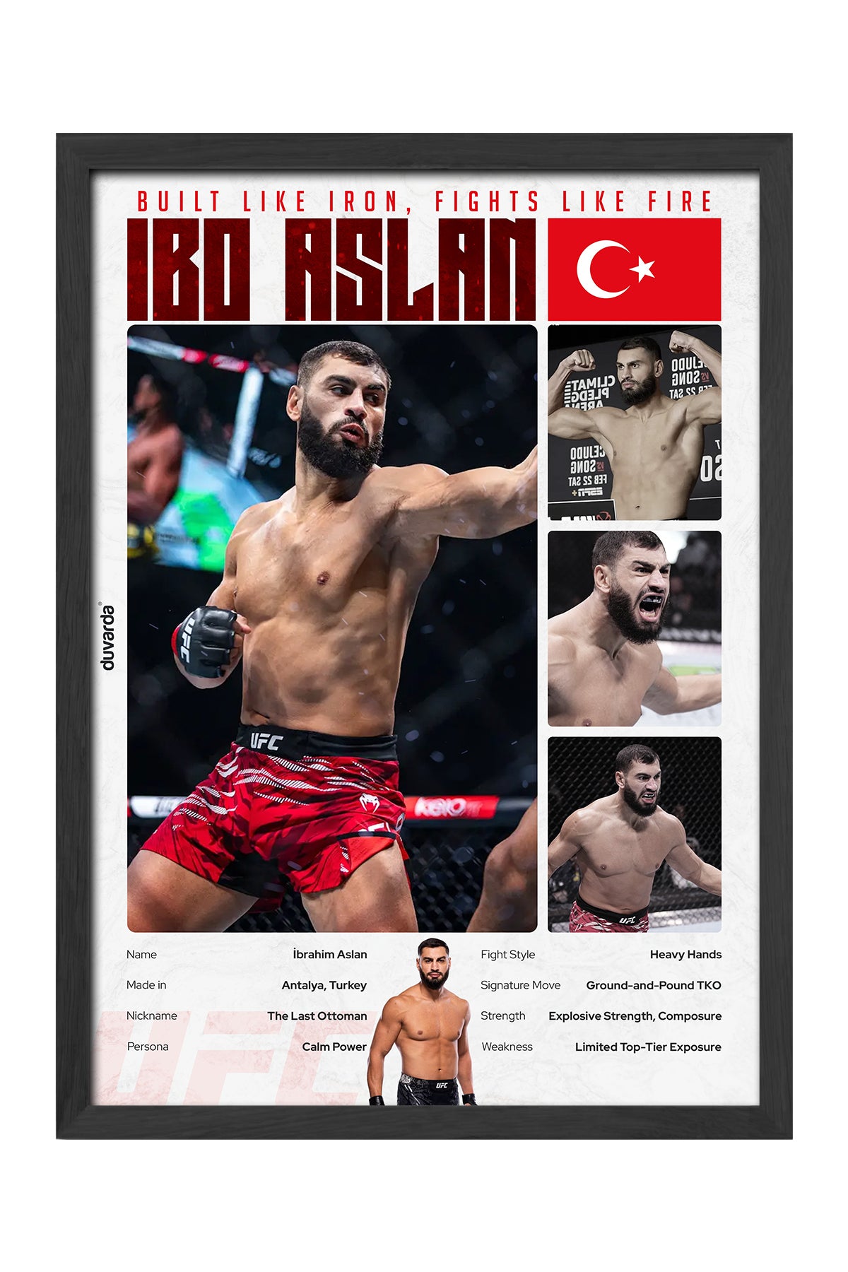 İbo Aslan UFC - tablo