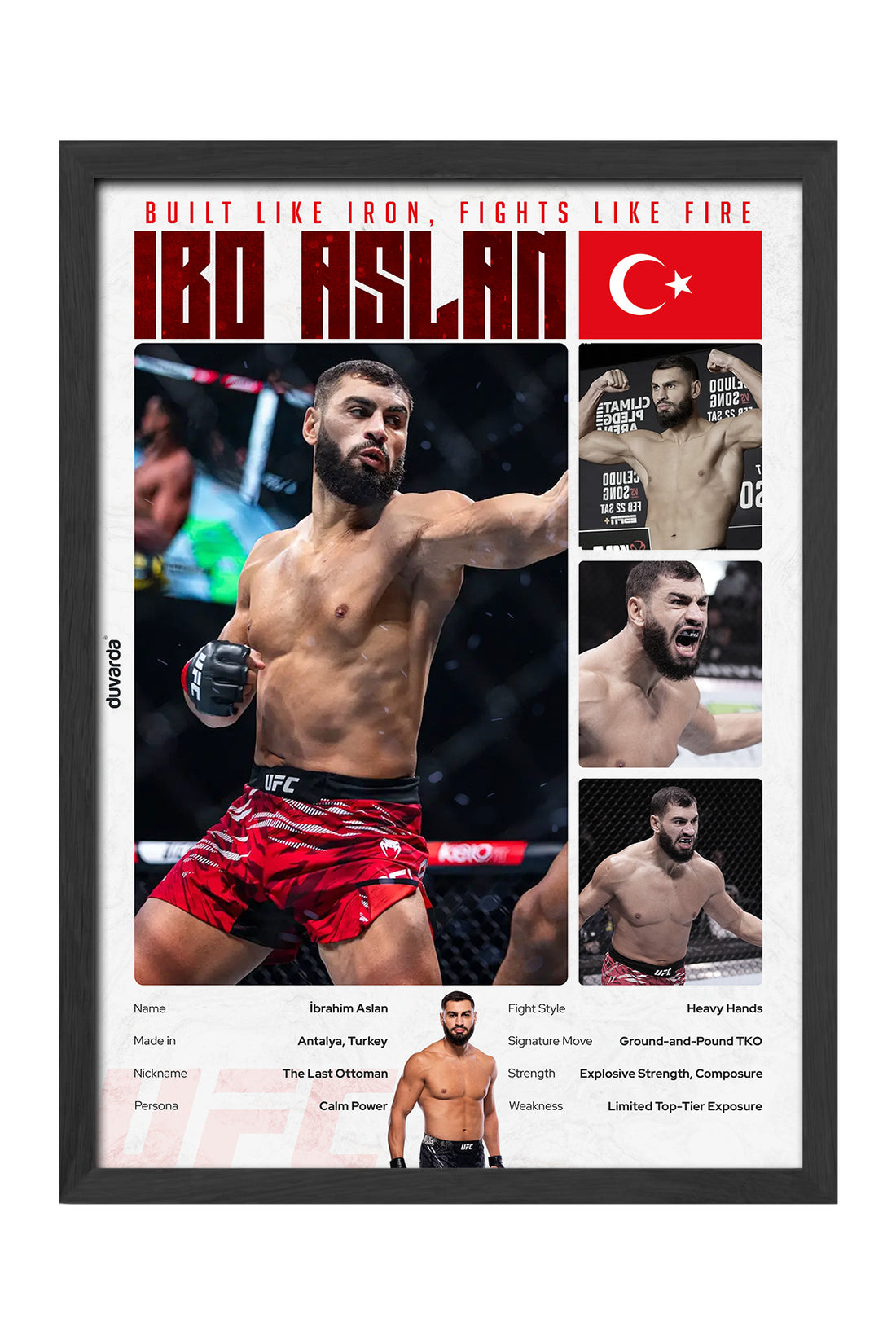 İbo Aslan UFC - tablo