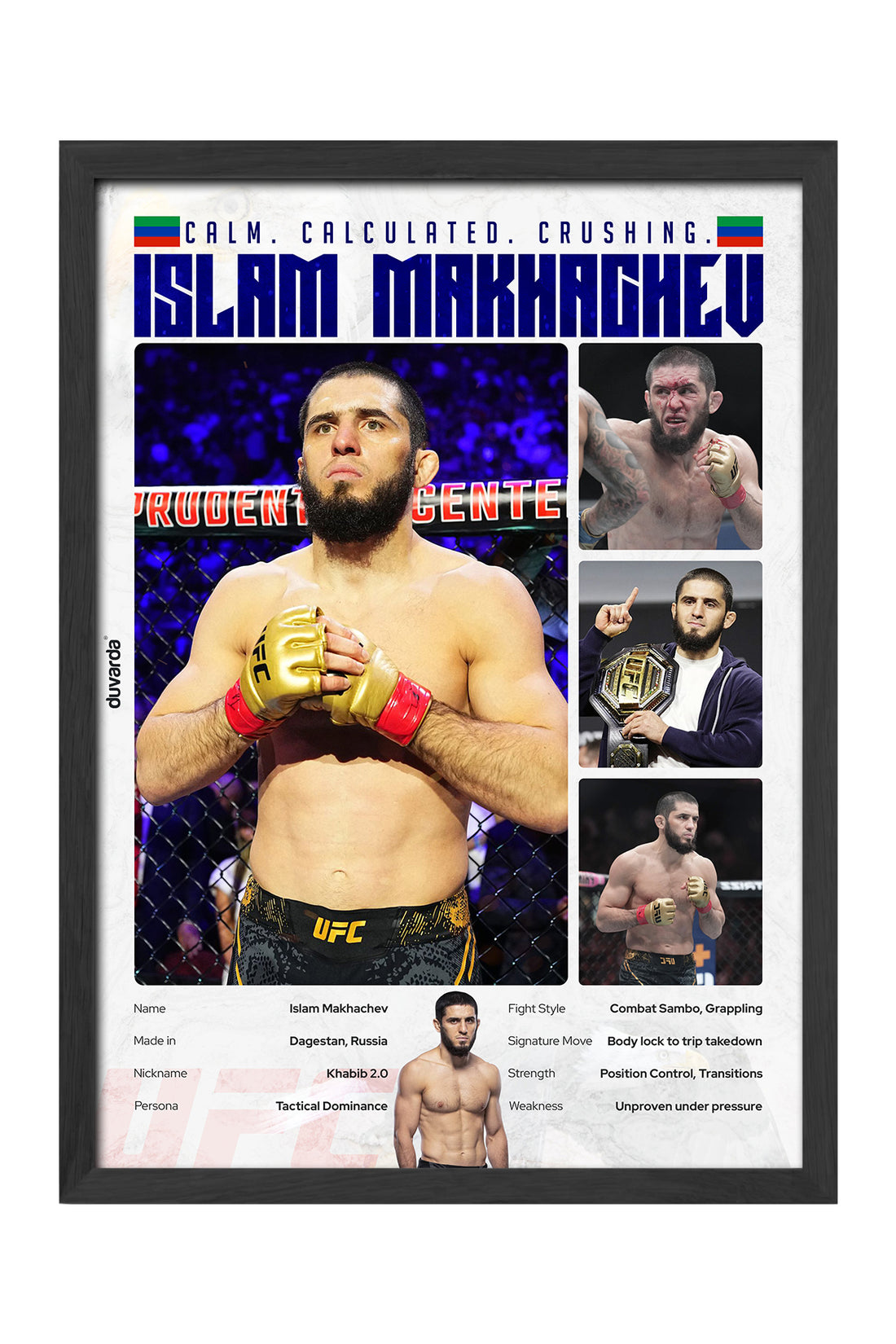 Islam Makhachev UFC - tablo