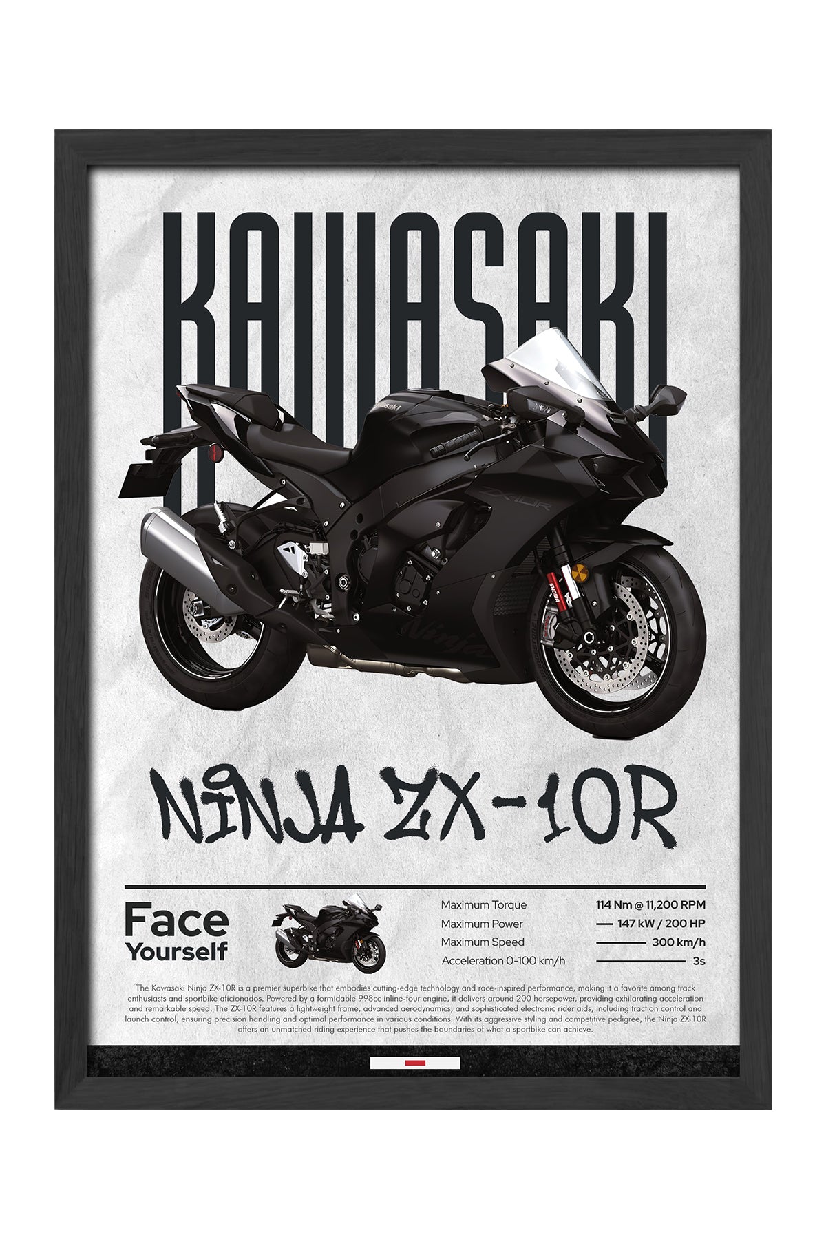 Kawasaki Ninja ZX-10R - tablo