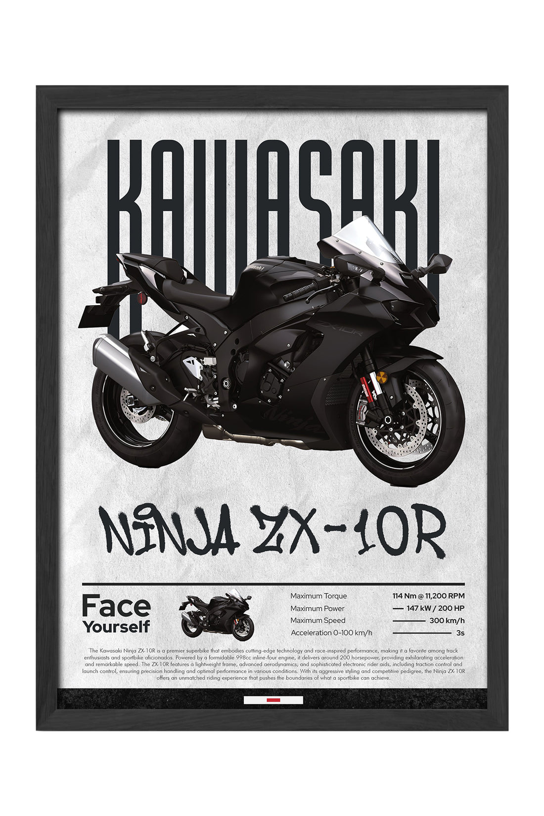 Kawasaki Ninja ZX-10R - tablo