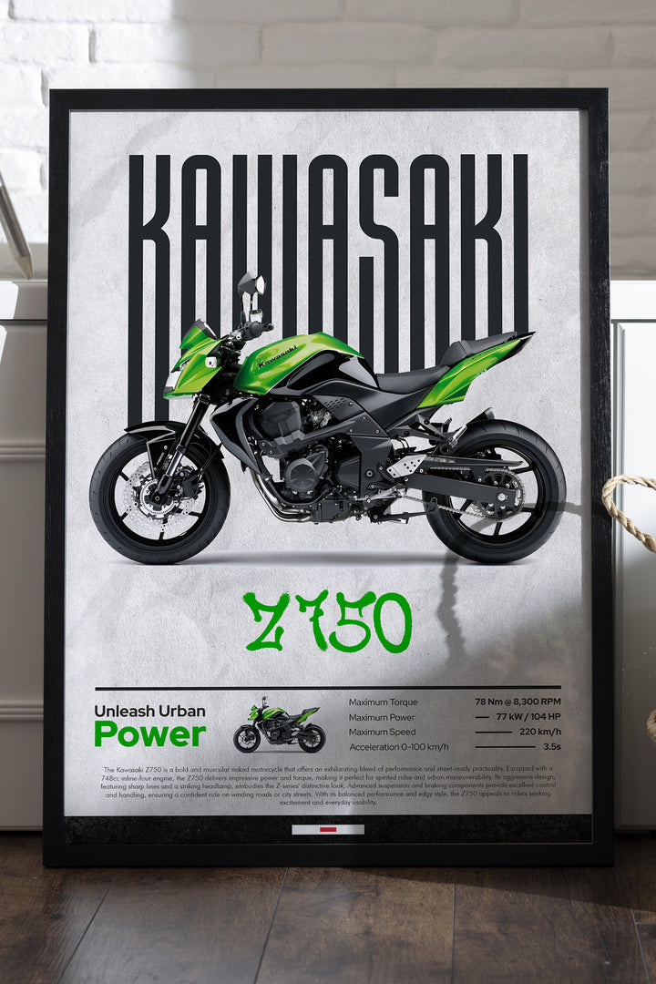 Kawasaki Z750 - tablo