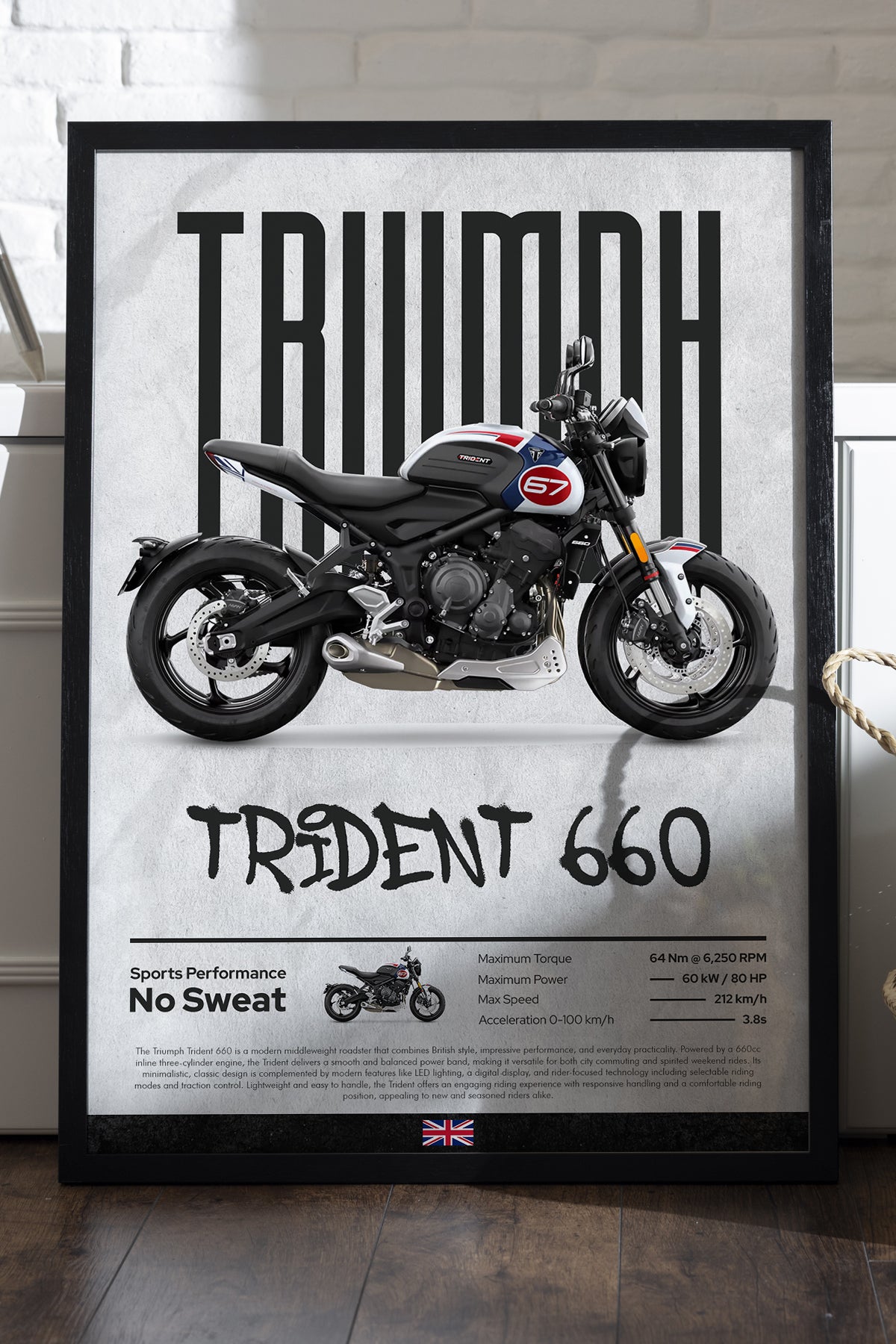 Triump Trident 660 - tablo