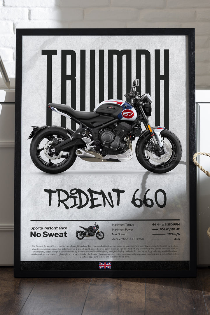 Triump Trident 660 - tablo