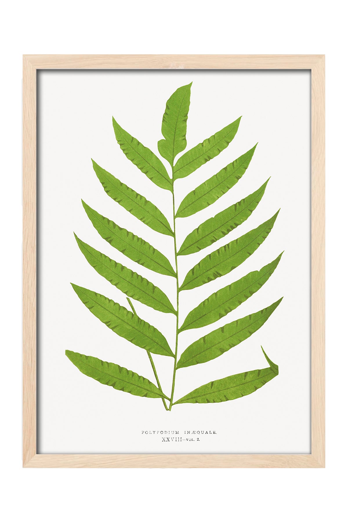 Leaf - tablo