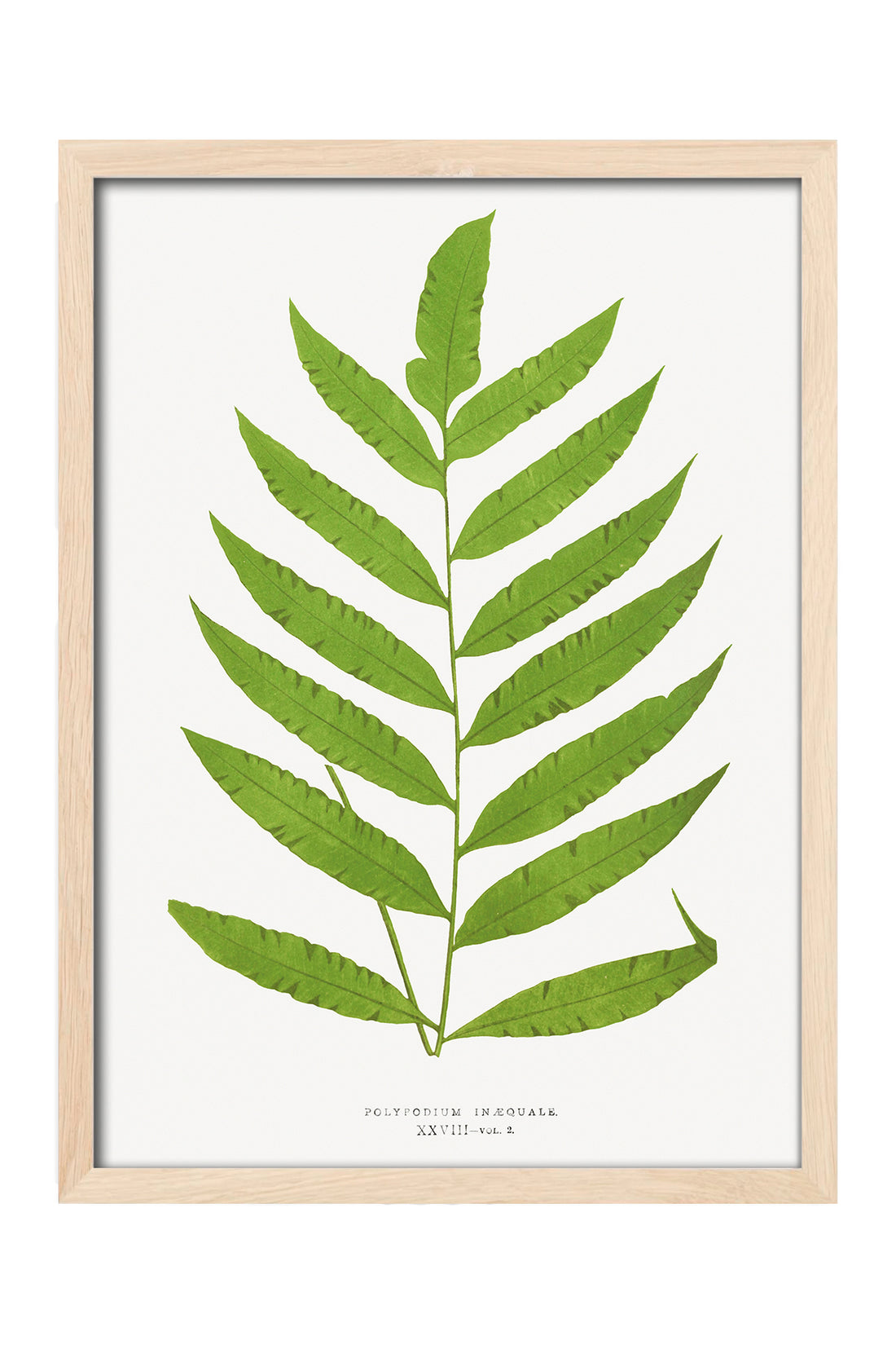Leaf - tablo