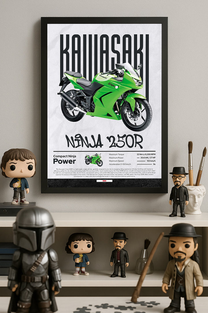 Kawasaki Ninja 250 R - tablo