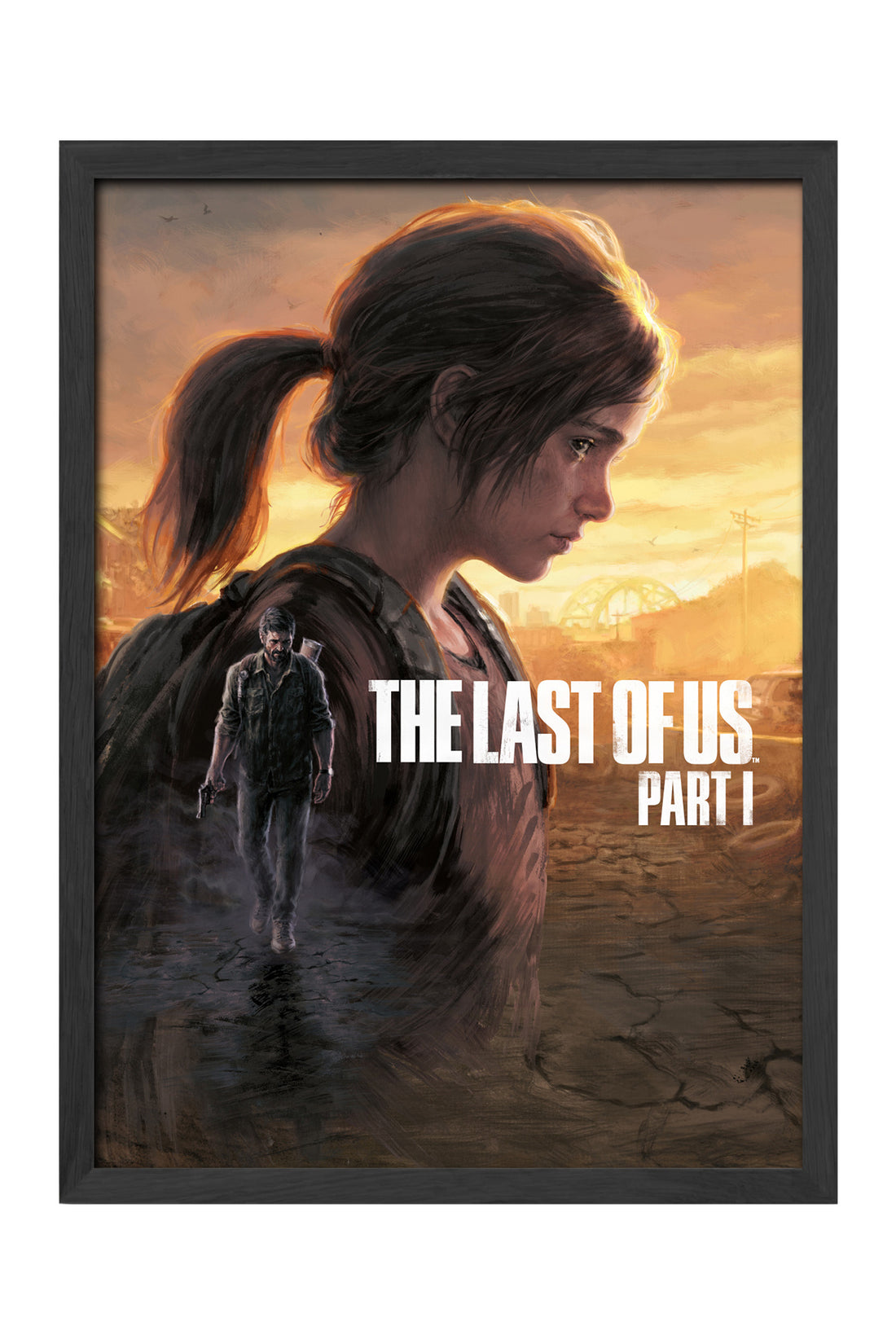 The Last of Us