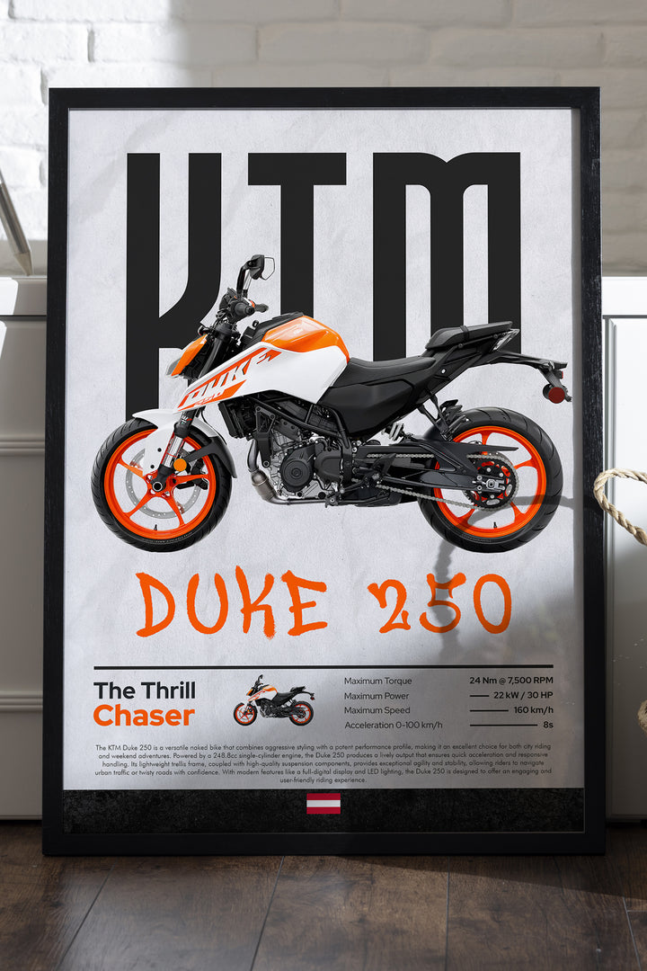 KTM Duke 250 - tablo