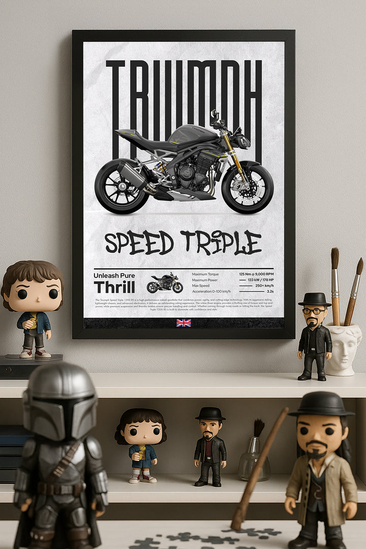Triump Speed Triple - tablo