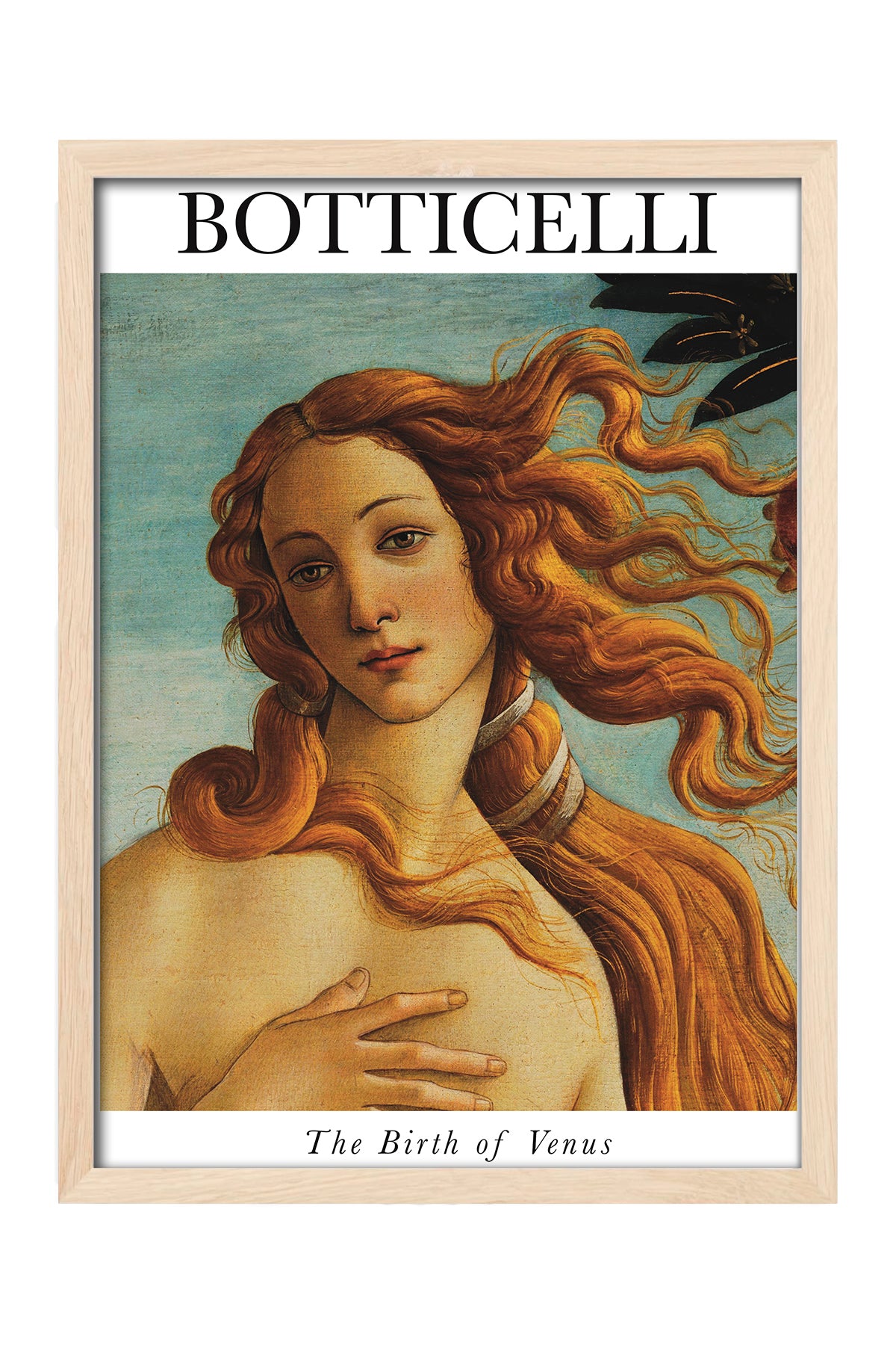 Botticelli The Birth of Venus - tablo