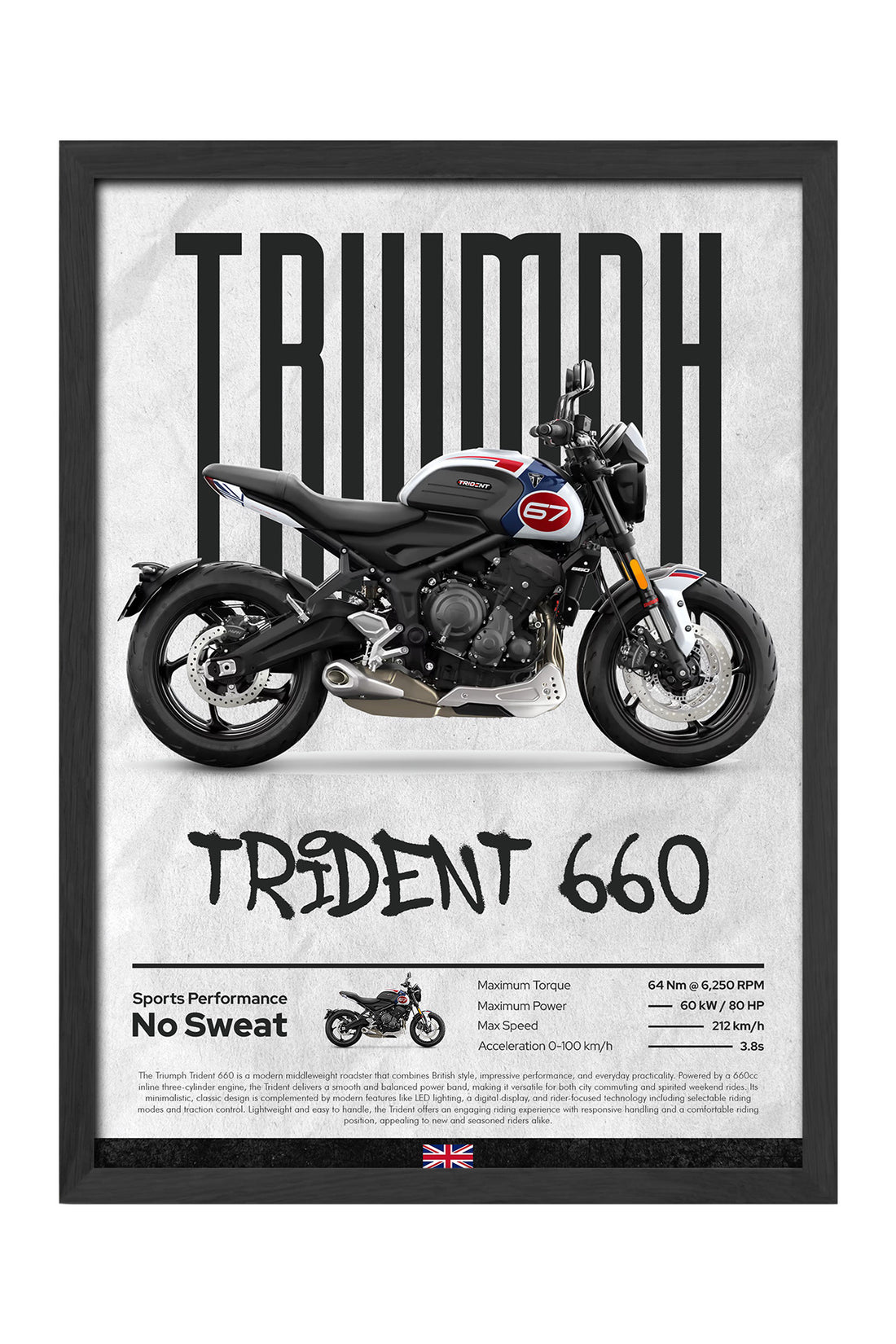 Triump Trident 660 - tablo