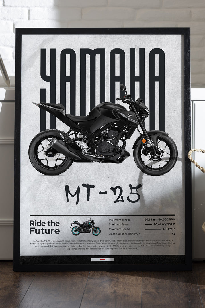 Yamaha MT-25 Siyah