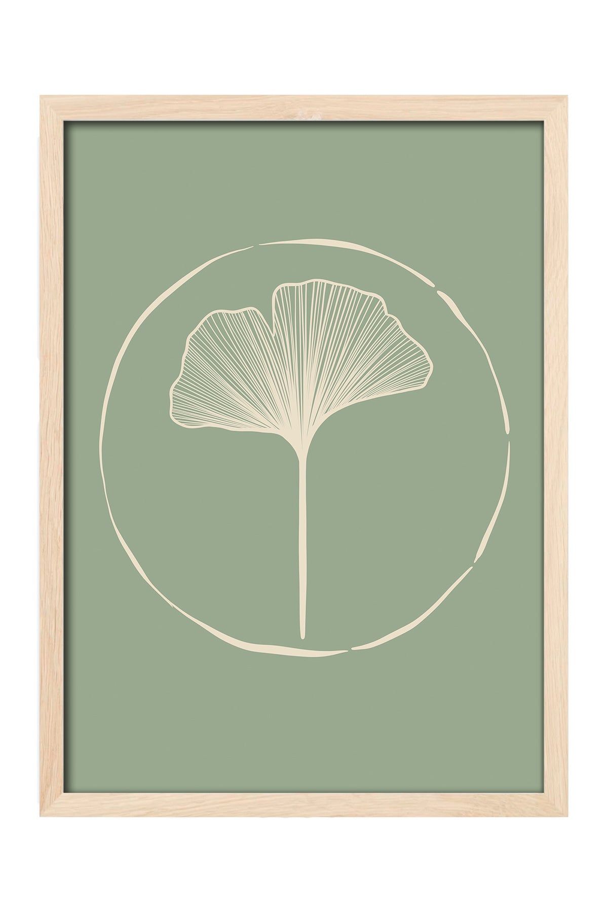 Ginkgo - tablo
