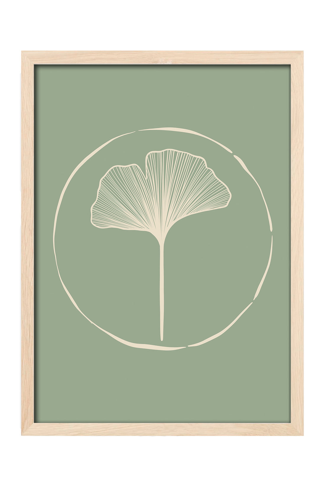 Ginkgo - tablo