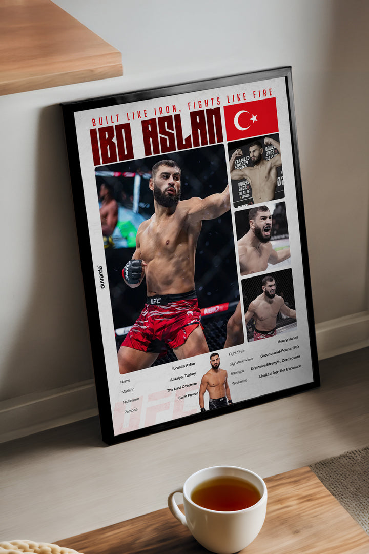 İbo Aslan UFC - tablo